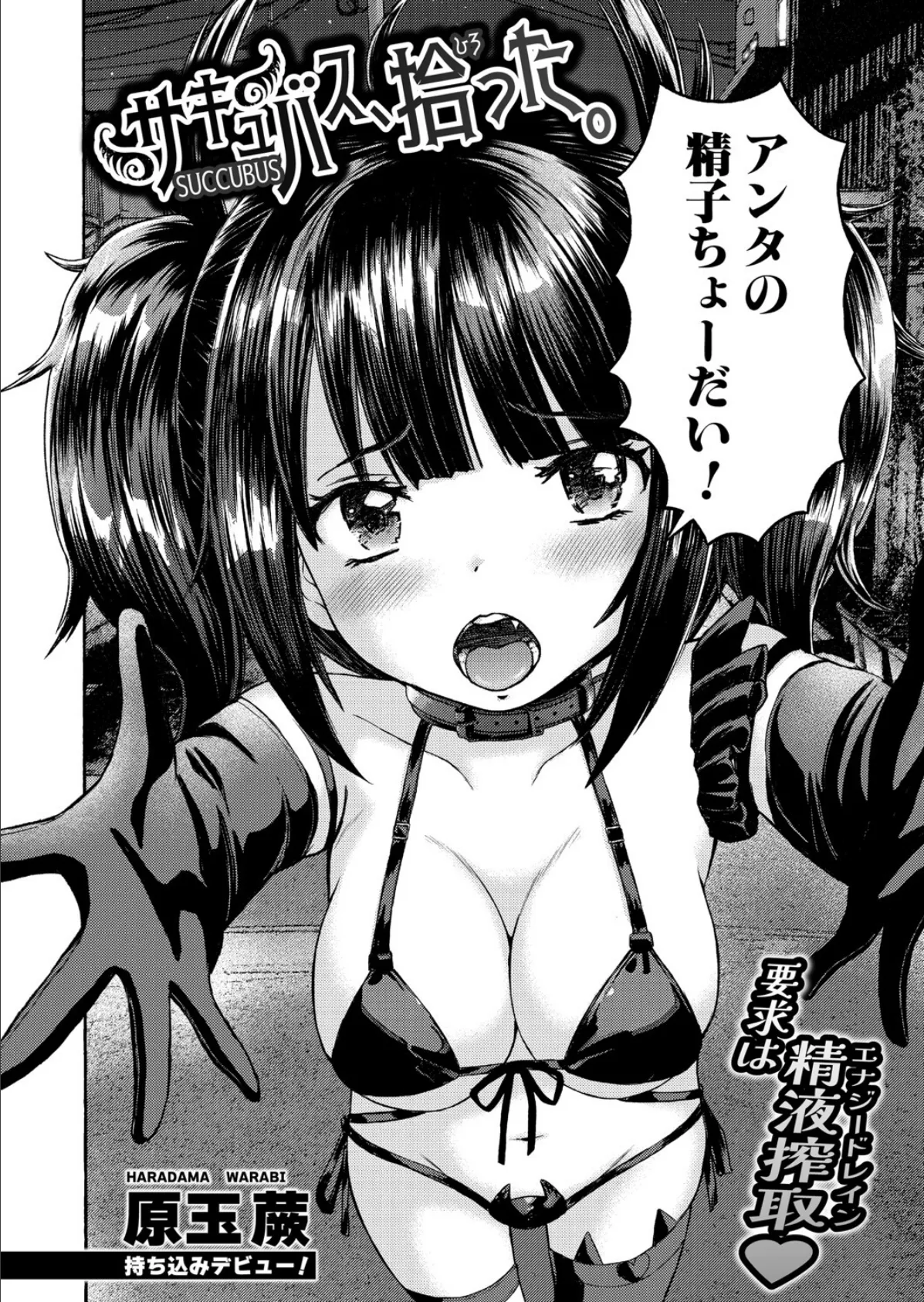 サキュバス、拾った。 2ページ