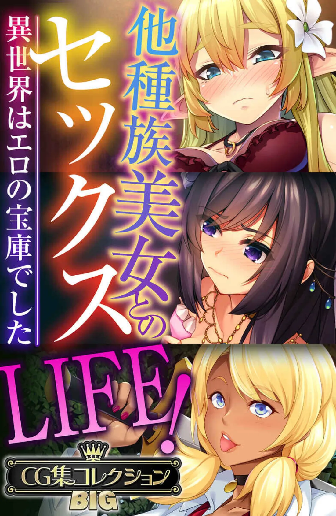 他種族美女とのセックスLIFE! 〜異世界はエロの宝庫でした〜【CG集コレクションBIG】