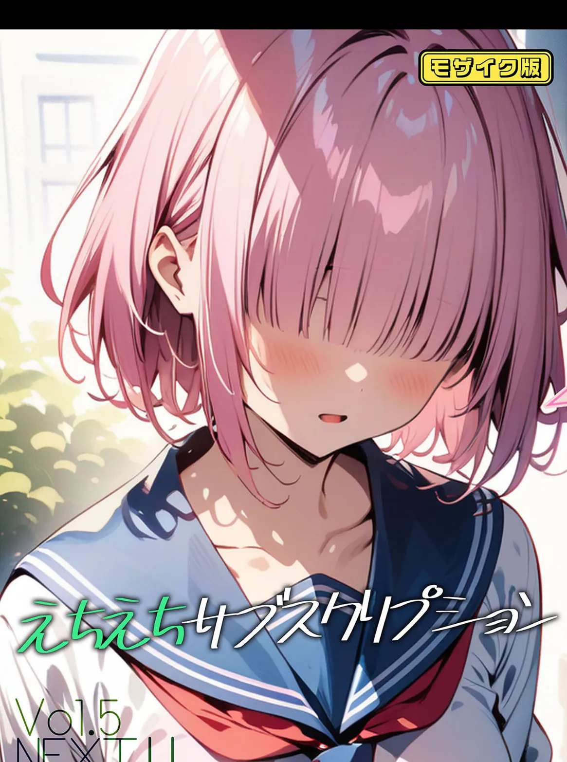 えちえちサブスクリプションVol.5 NEXT!! モザイク版