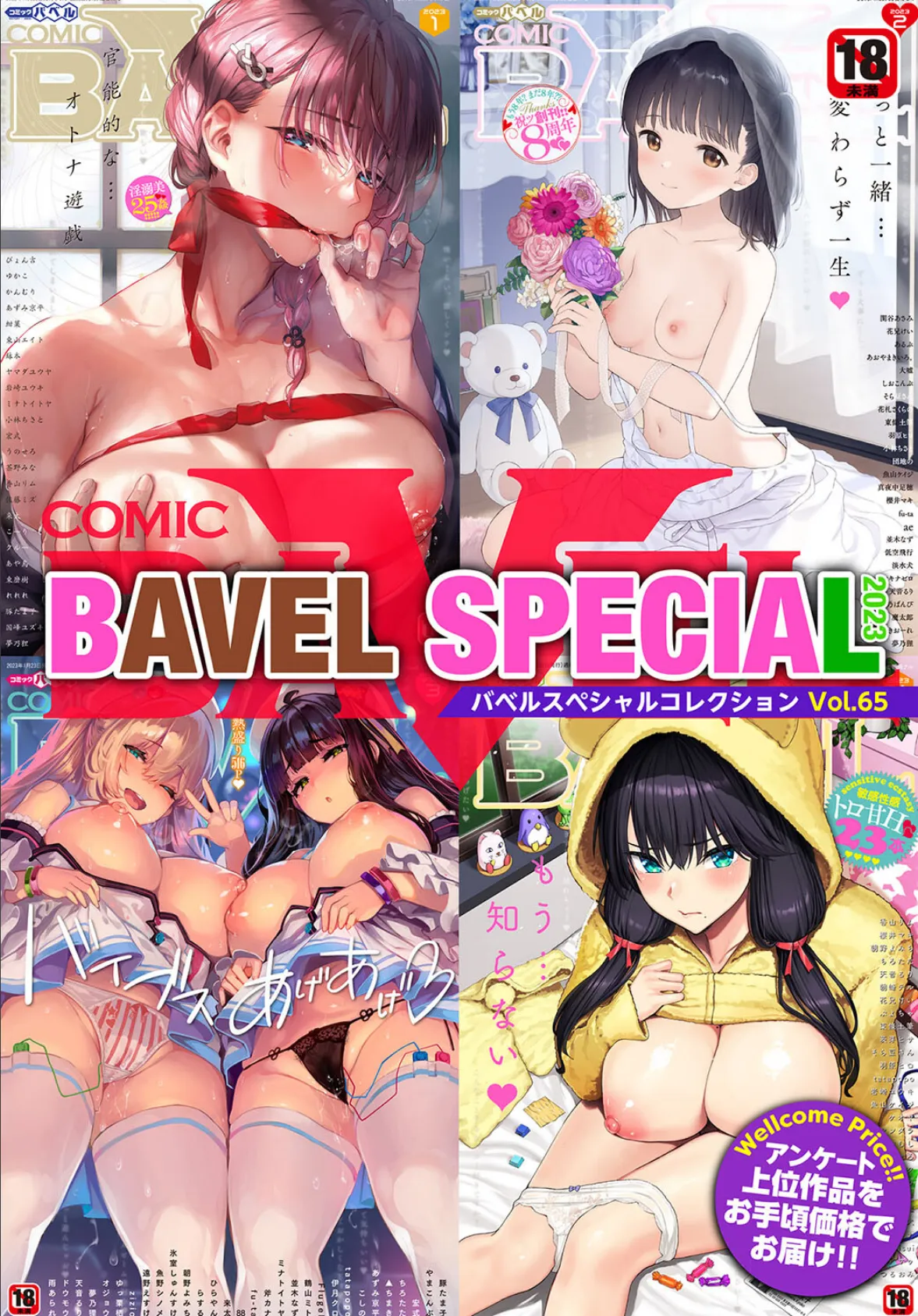 COMIC BAVEL SPECIAL COLLECTION(コミックバベル スペシャルコレクション)VOL65