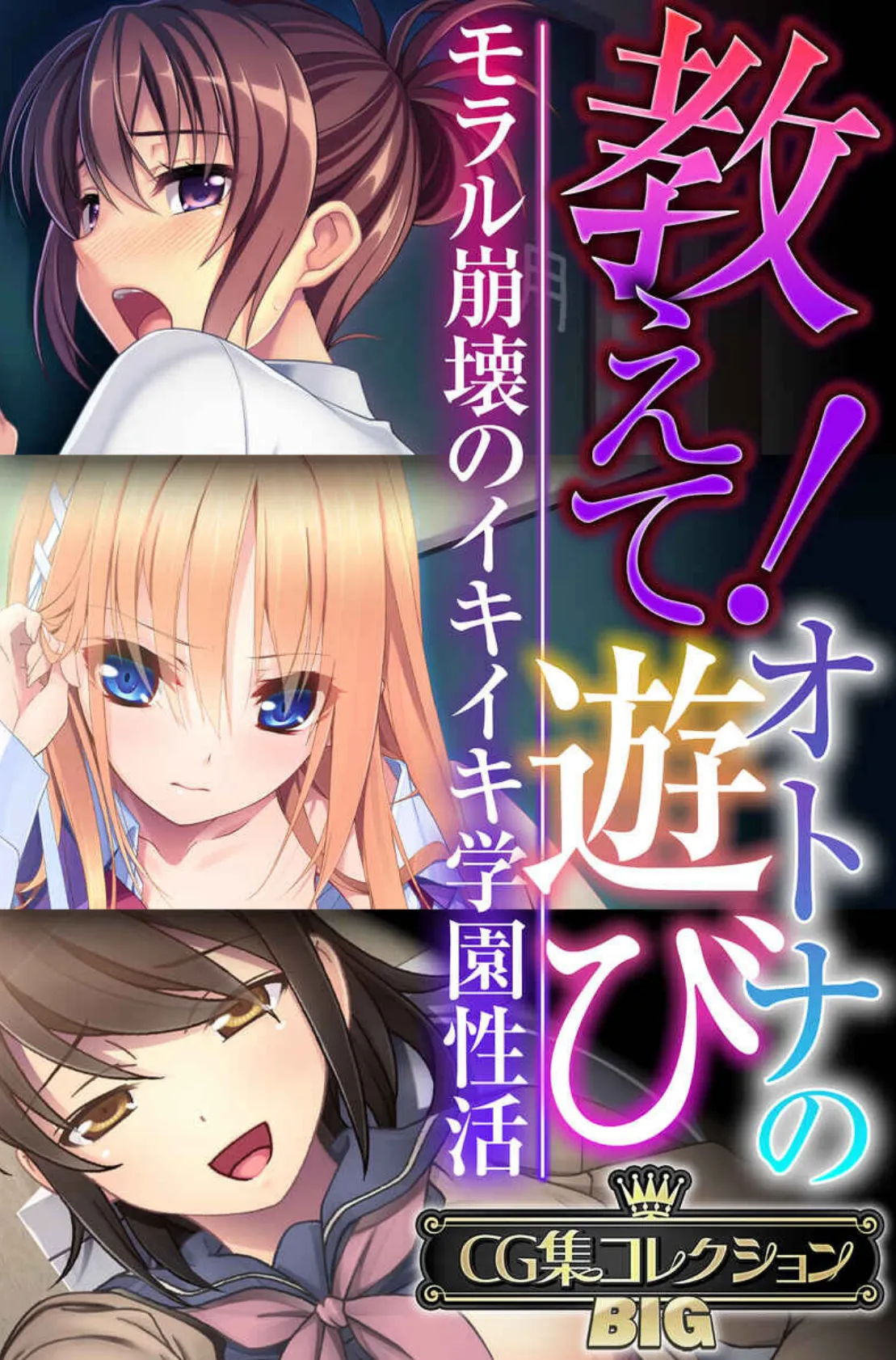 教えて!オトナの遊び 〜モラル崩壊のイキイキ学園性活〜【CG集コレクションBIG】