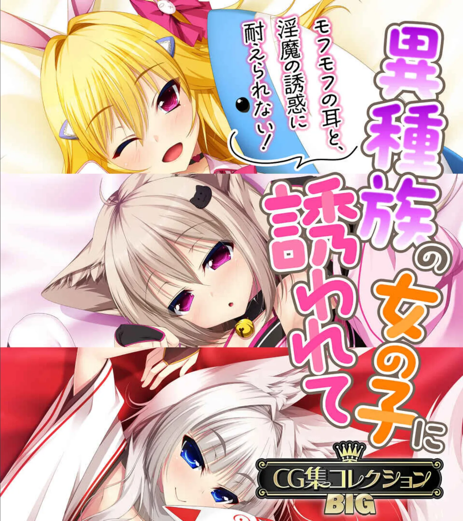 異種族の女の子に誘われて 〜モフモフの耳と、淫魔の誘惑に耐えられない!〜【CG集コレクションBIG】