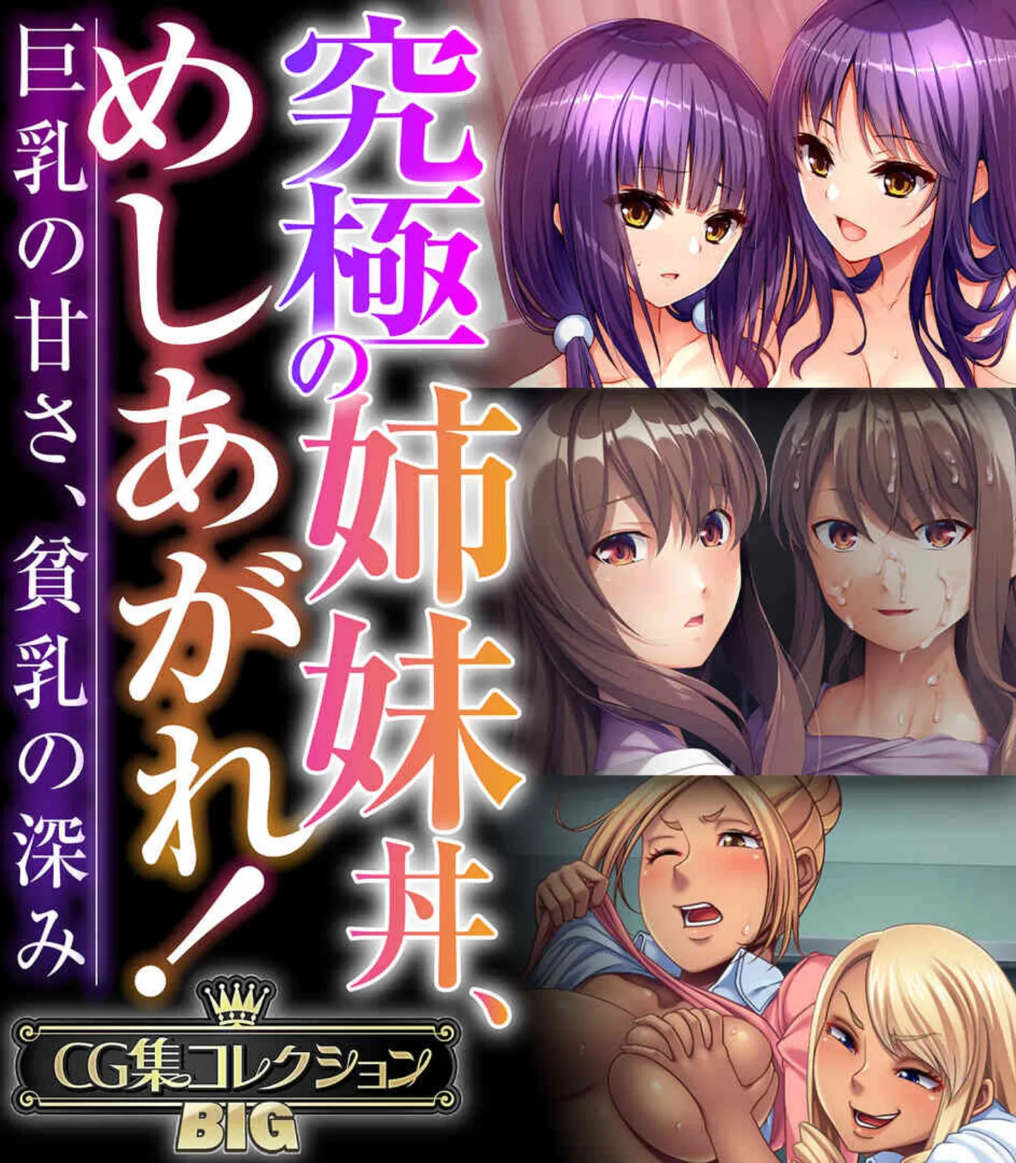 究極の姉妹丼、めしあがれ!〜巨乳の甘さ、貧乳の深み〜【CG集コレクションBIG】