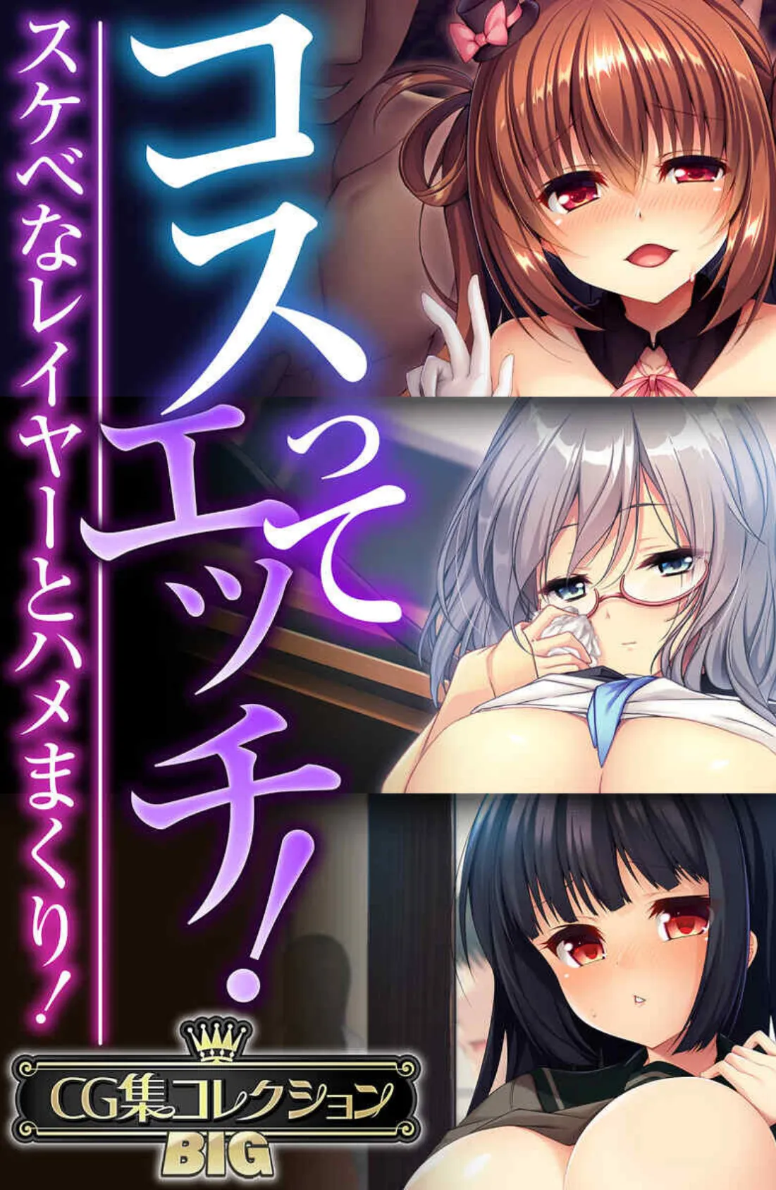 コスってエッチ!〜スケベなレイヤーとハメまくり!〜【CG集コレクションBIG】