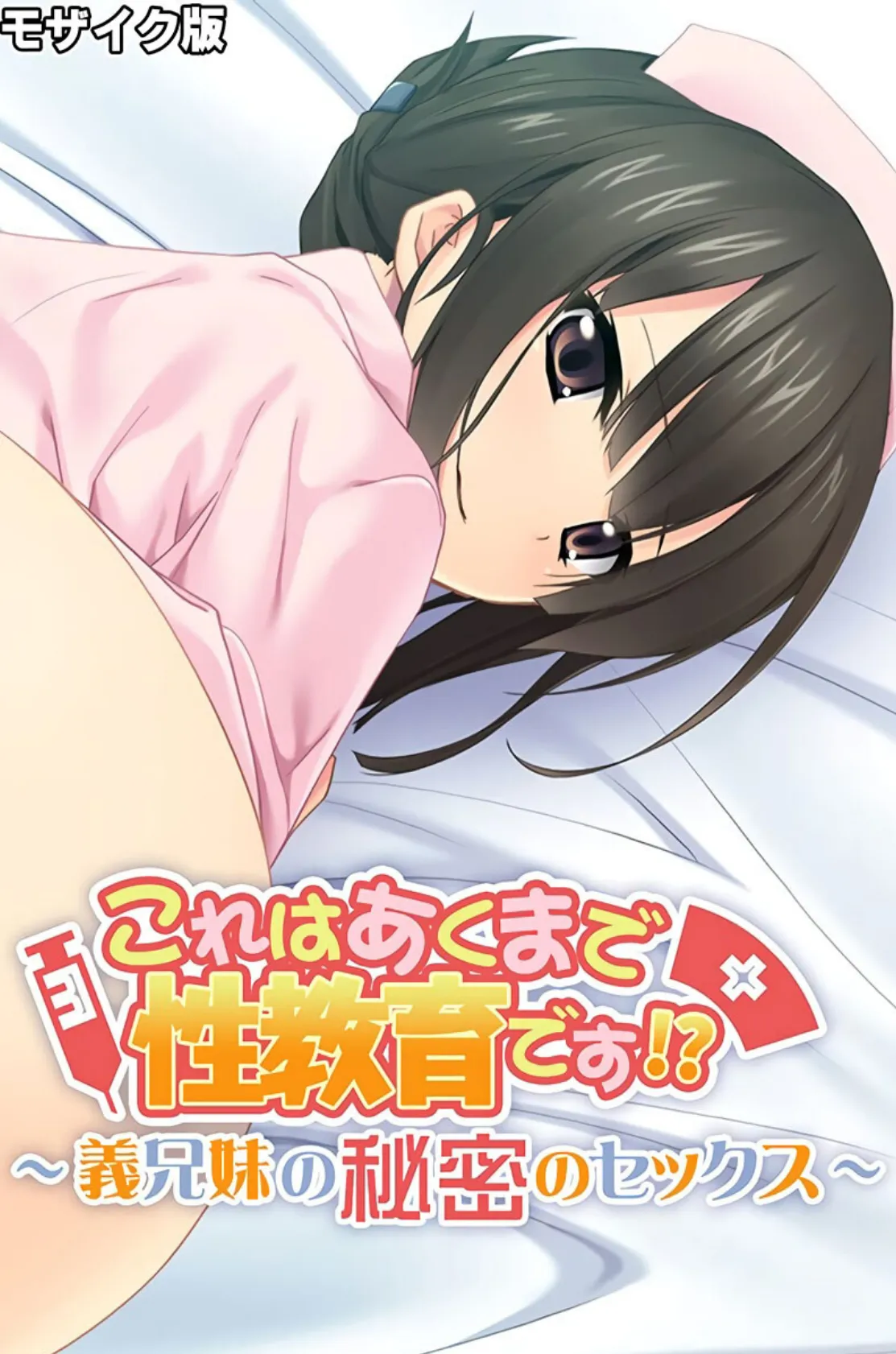 これはあくまで性教育です!? 〜義兄妹の秘密のセックス〜 モザイク版