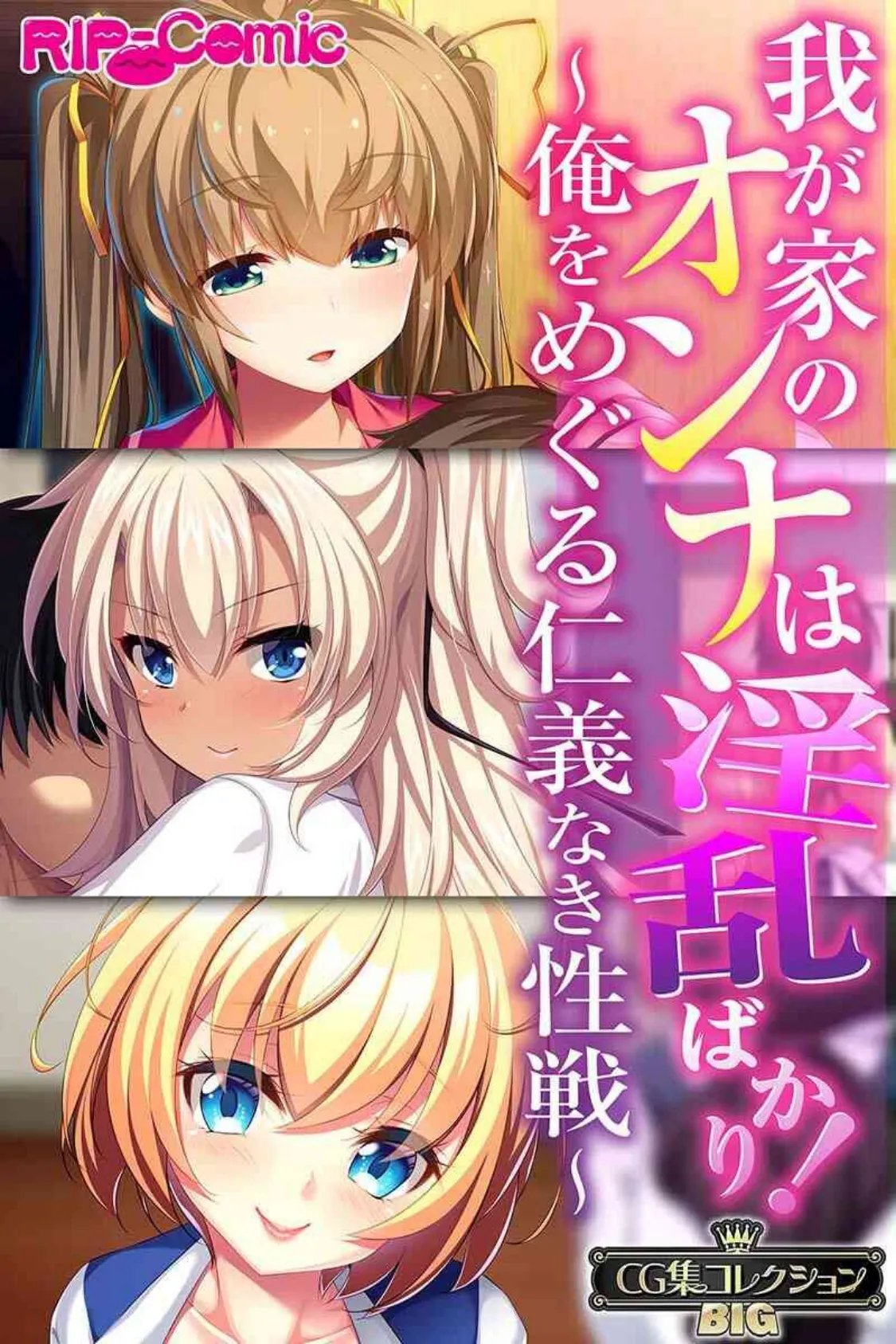 我が家のオンナは淫乱ばかり!〜俺をめぐる仁義なき性戦〜【CG集コレクションBIG】