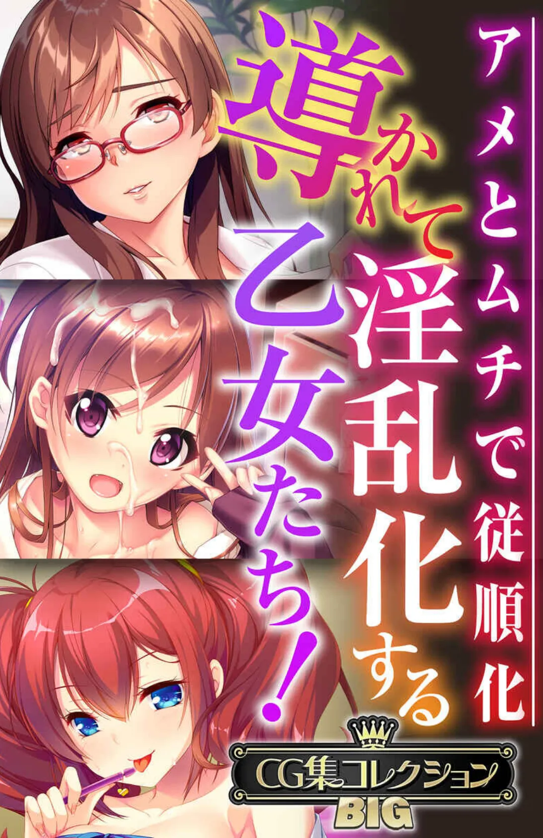 導かれて淫乱化する乙女たち!〜アメとムチで従順化〜【CG集コレクションBIG】