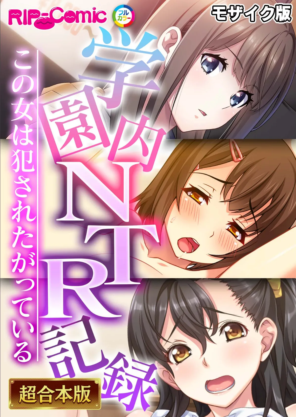 学園内NTR記録 〜この女は●●●たがっている〜【超合本シリーズ】 モザイク版