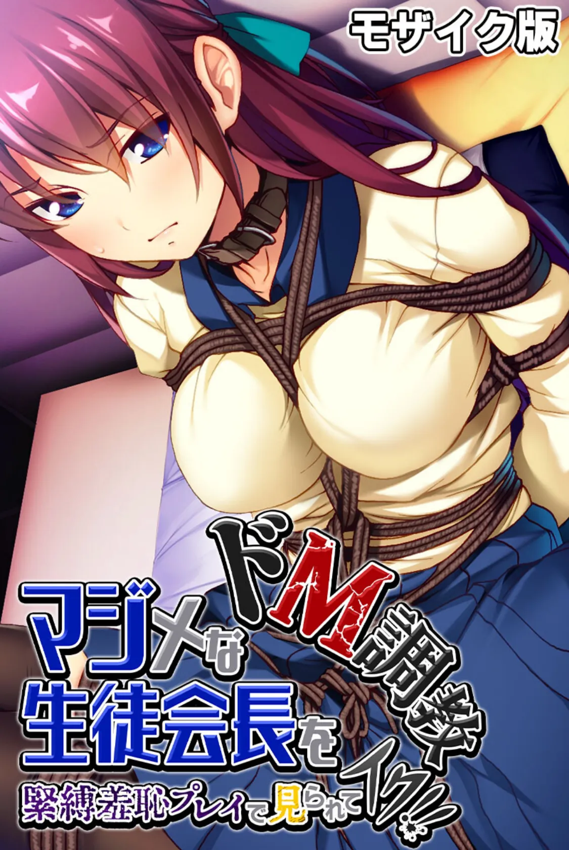 マジメな生徒会長をドM調教〜緊縛羞恥プレイで見られてイク!!〜 モザイク版