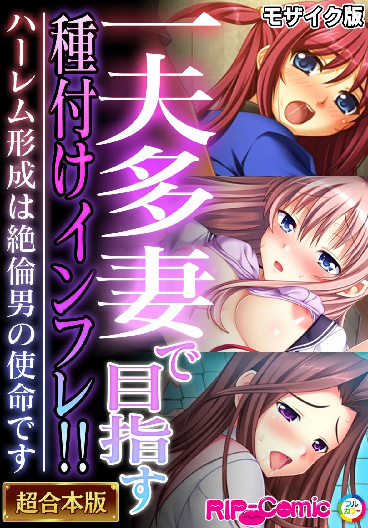 一夫多妻で目指す種付けインフレ!! 〜ハーレム形成は絶倫男の使命です〜【超合本シリーズ】 モザイク版