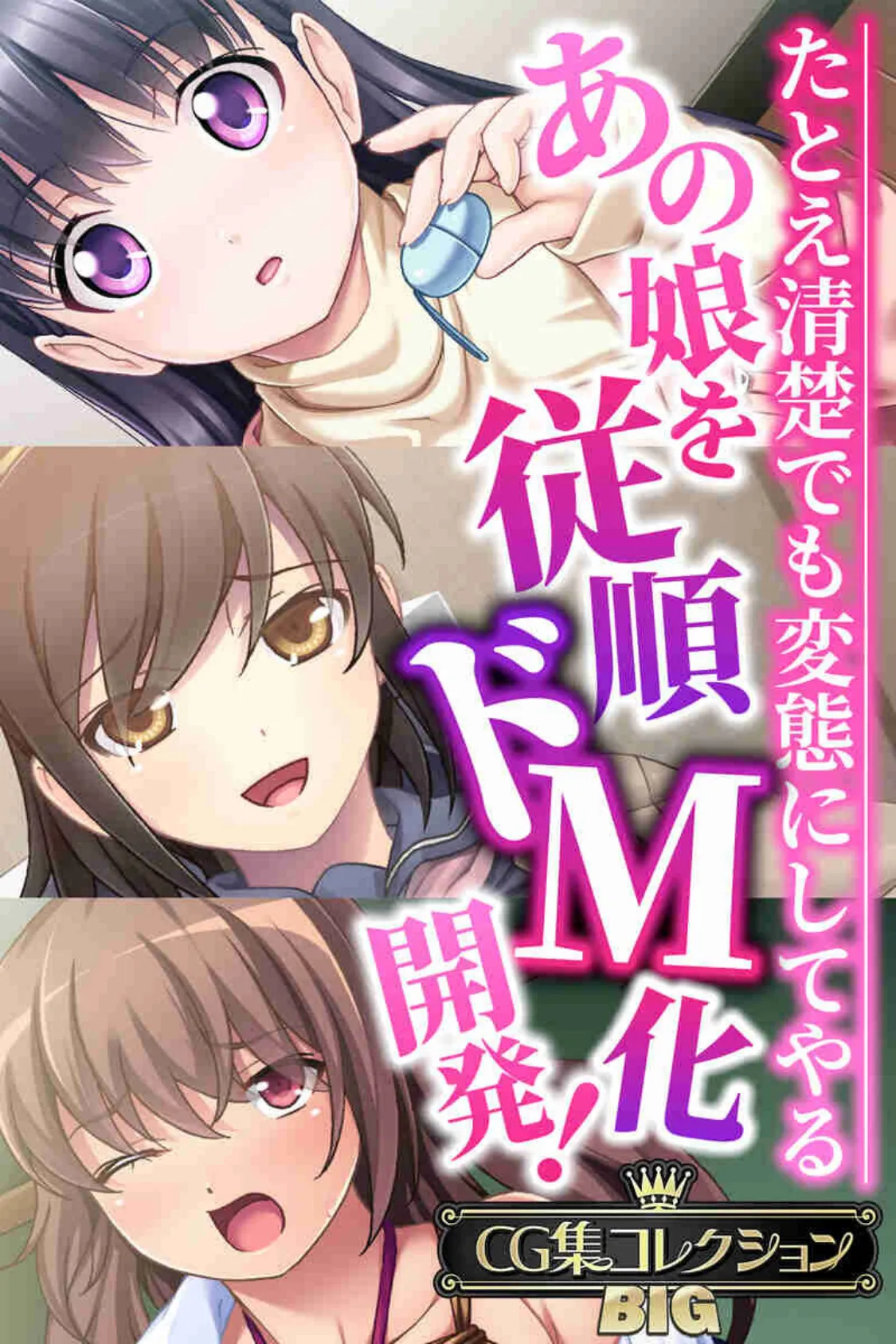 あの娘を従順ドM化開発!〜たとえ清楚でも変態にしてやる〜【CG集コレクションBIG】