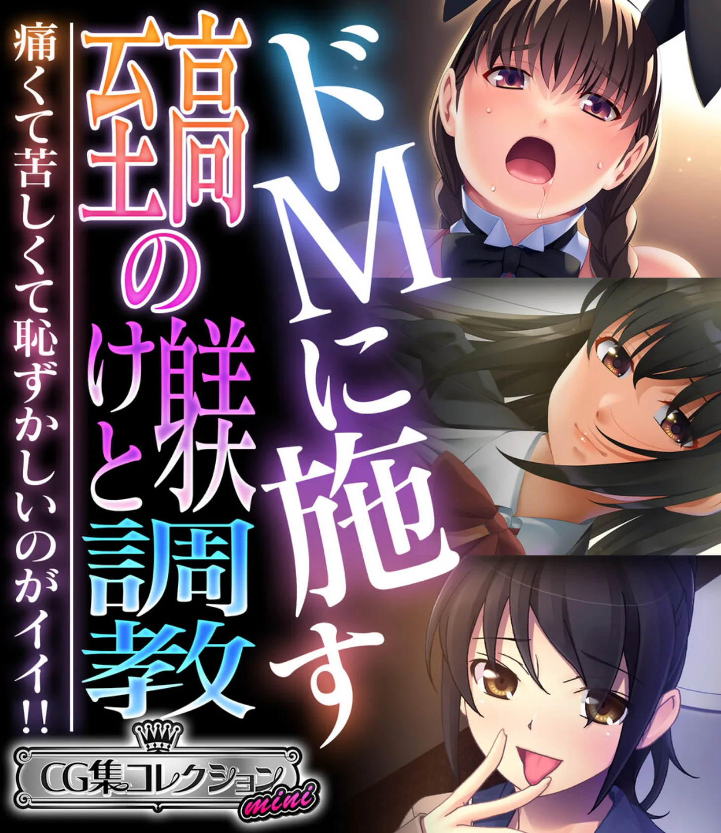 ドMに施す至高の躾けと調教 〜痛くて苦しくて恥ずかしいのがイイ!!〜【CG集コレクション ミニ】
