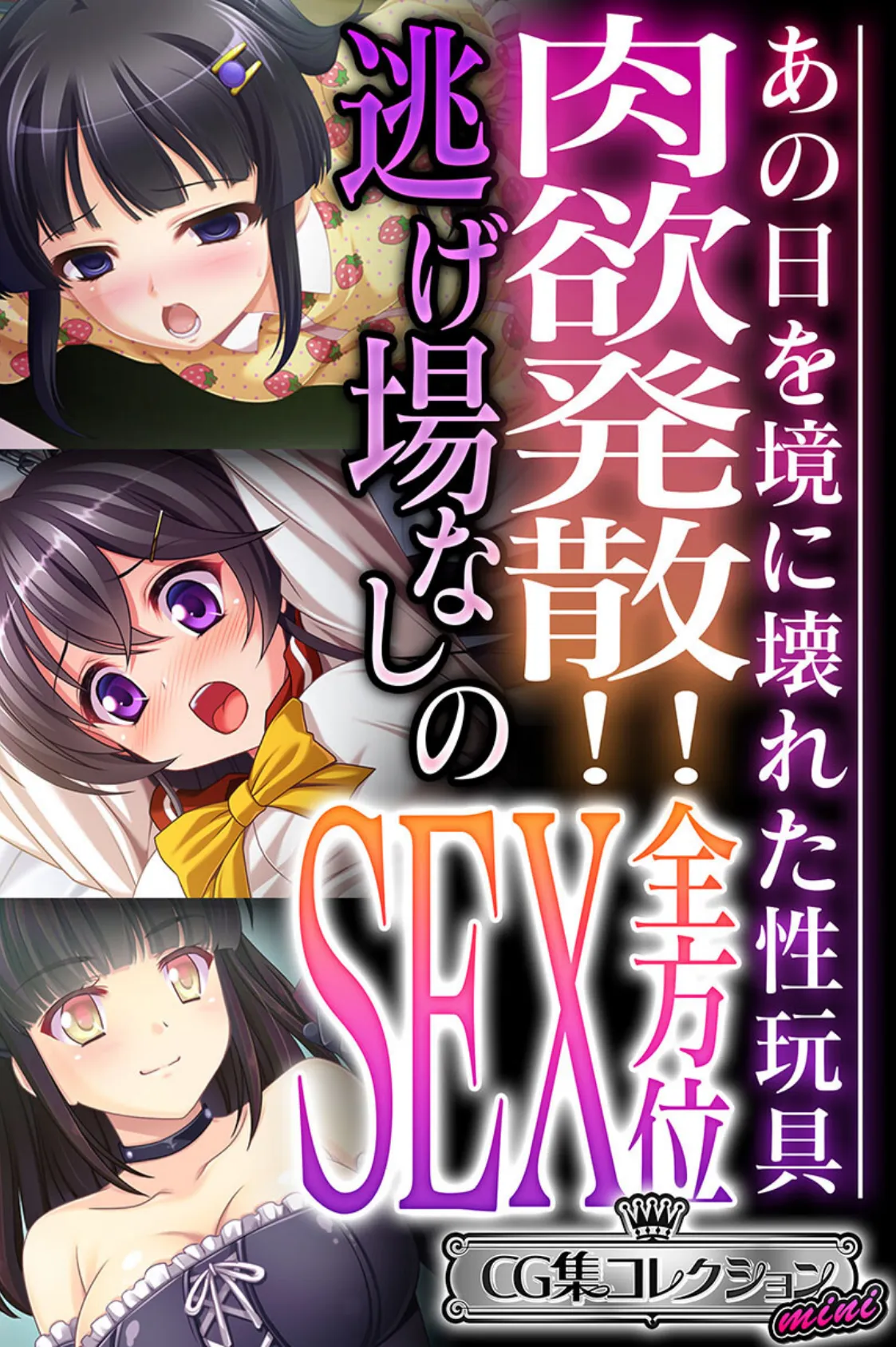肉欲発散!!逃げ場なしの全方位SEX 〜あの日を境に壊れた性玩具〜【CG集コレクション ミニ】
