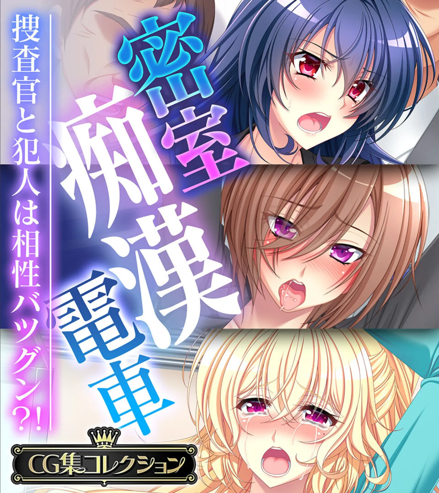 密室痴●電車 〜捜査官と犯人は相性バツグン?!〜【CG集コレクション】