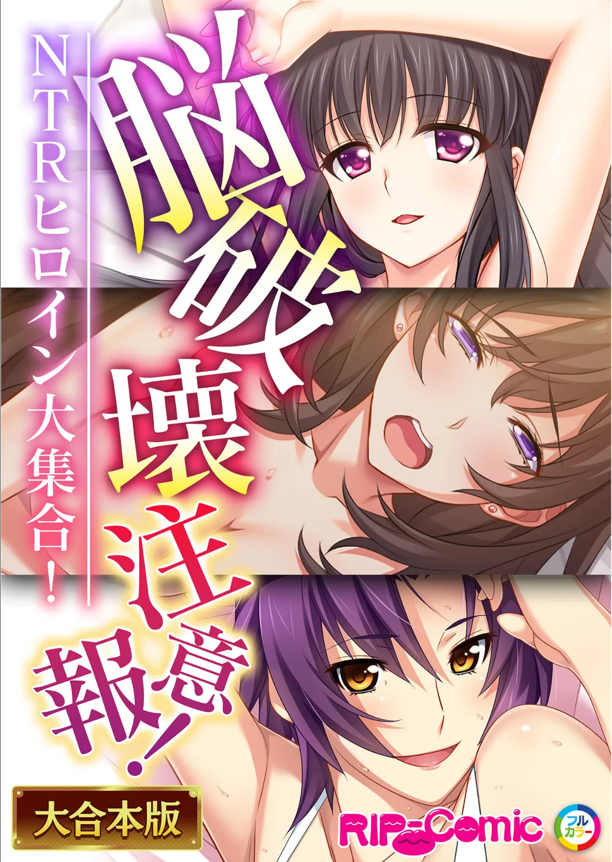 脳破壊注意報!NTRヒロイン大集合!【大合本シリーズ】