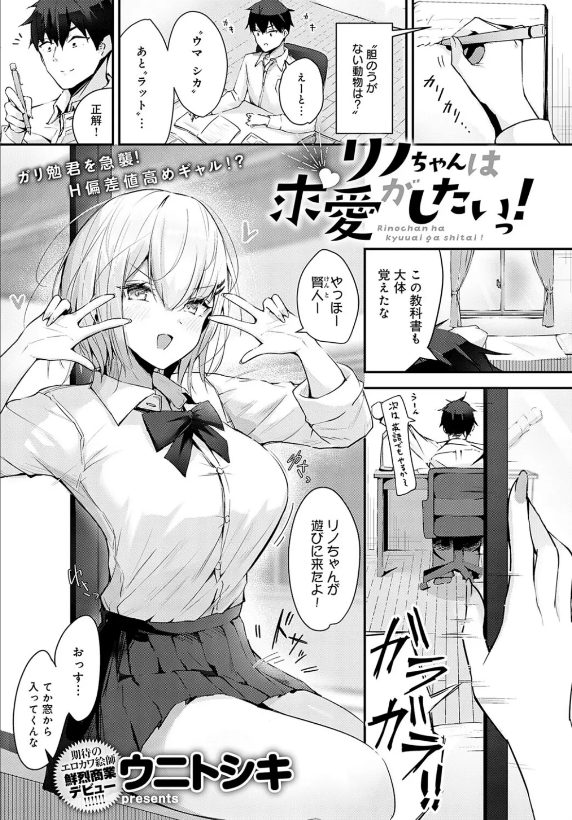 リノちゃんは求愛がしたいっ!
