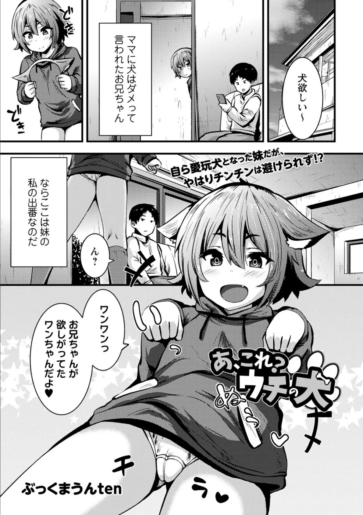 あ、これ?ウチの犬