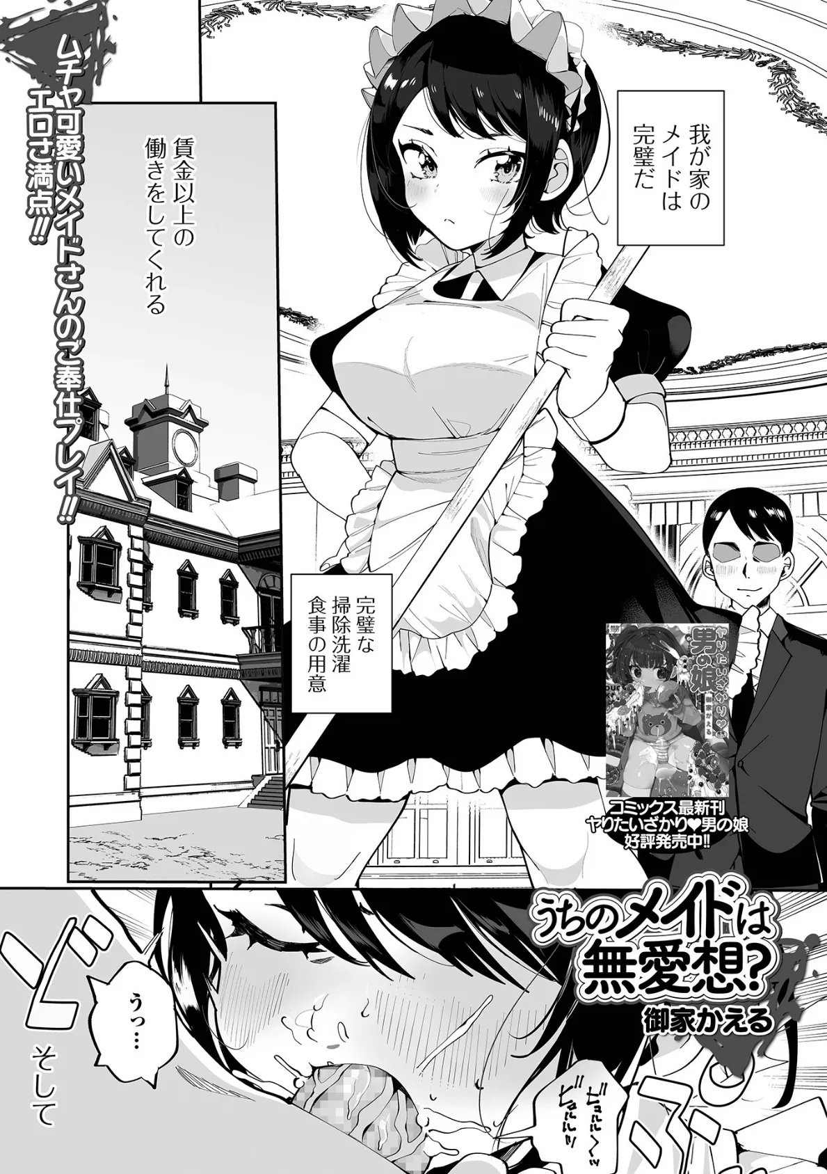 うちのメイドは無愛想?