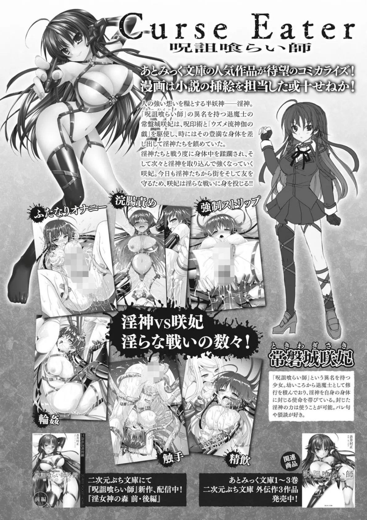 正義のヒロイン姦獄ファイル Vol.3 12ページ