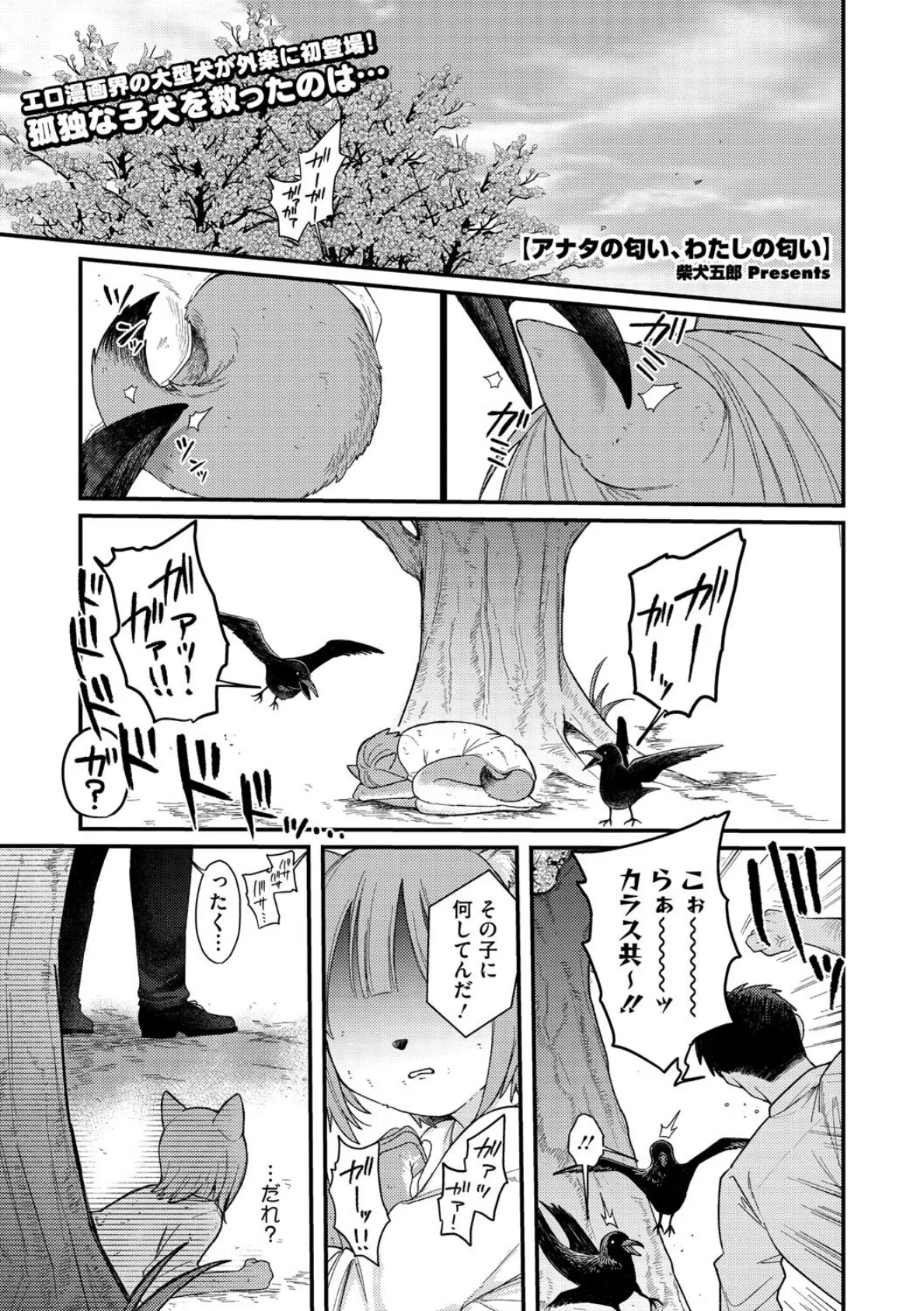 アナタの匂い、わたしの匂い