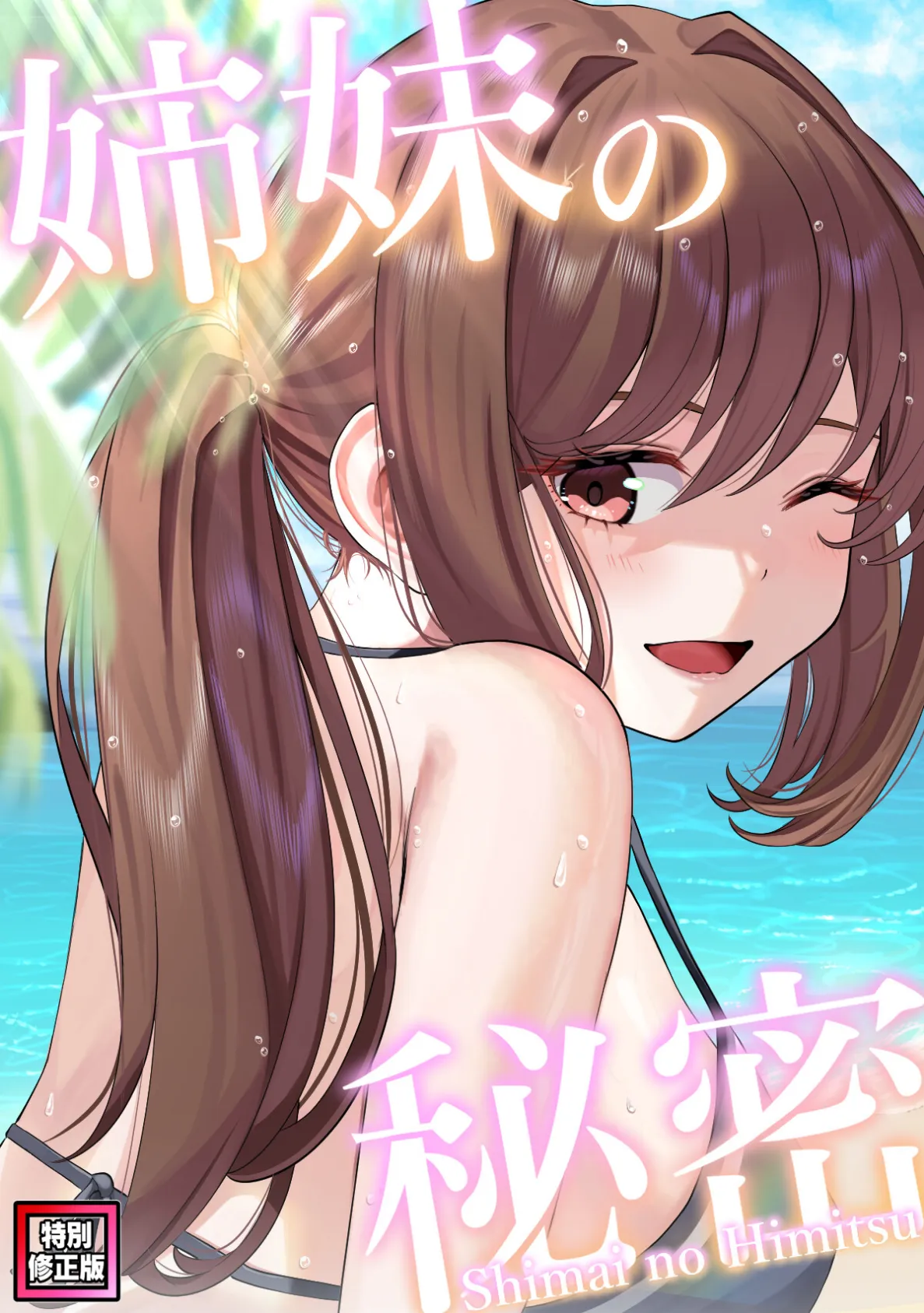 姉妹の秘密【特別修正版】（17）