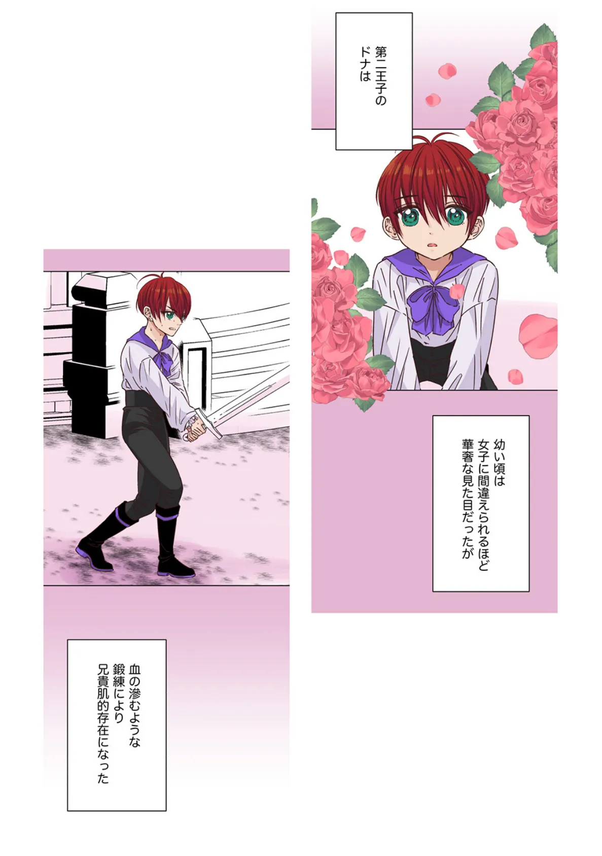 ヤンデレ王子(兄)が、 純情バカな俺様王子(弟)を 夜●いしたようです。【R18版】(1) 6ページ