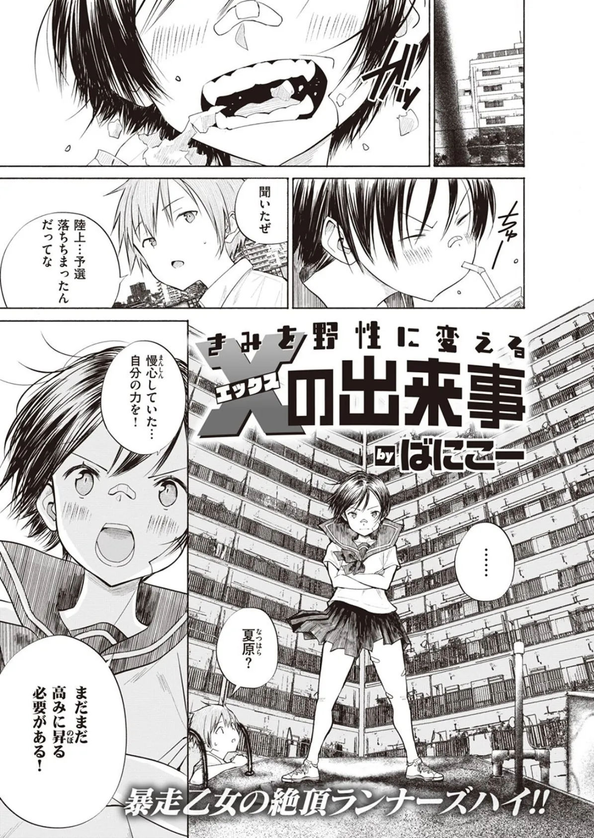 COMIC X-EROS #95 13ページ