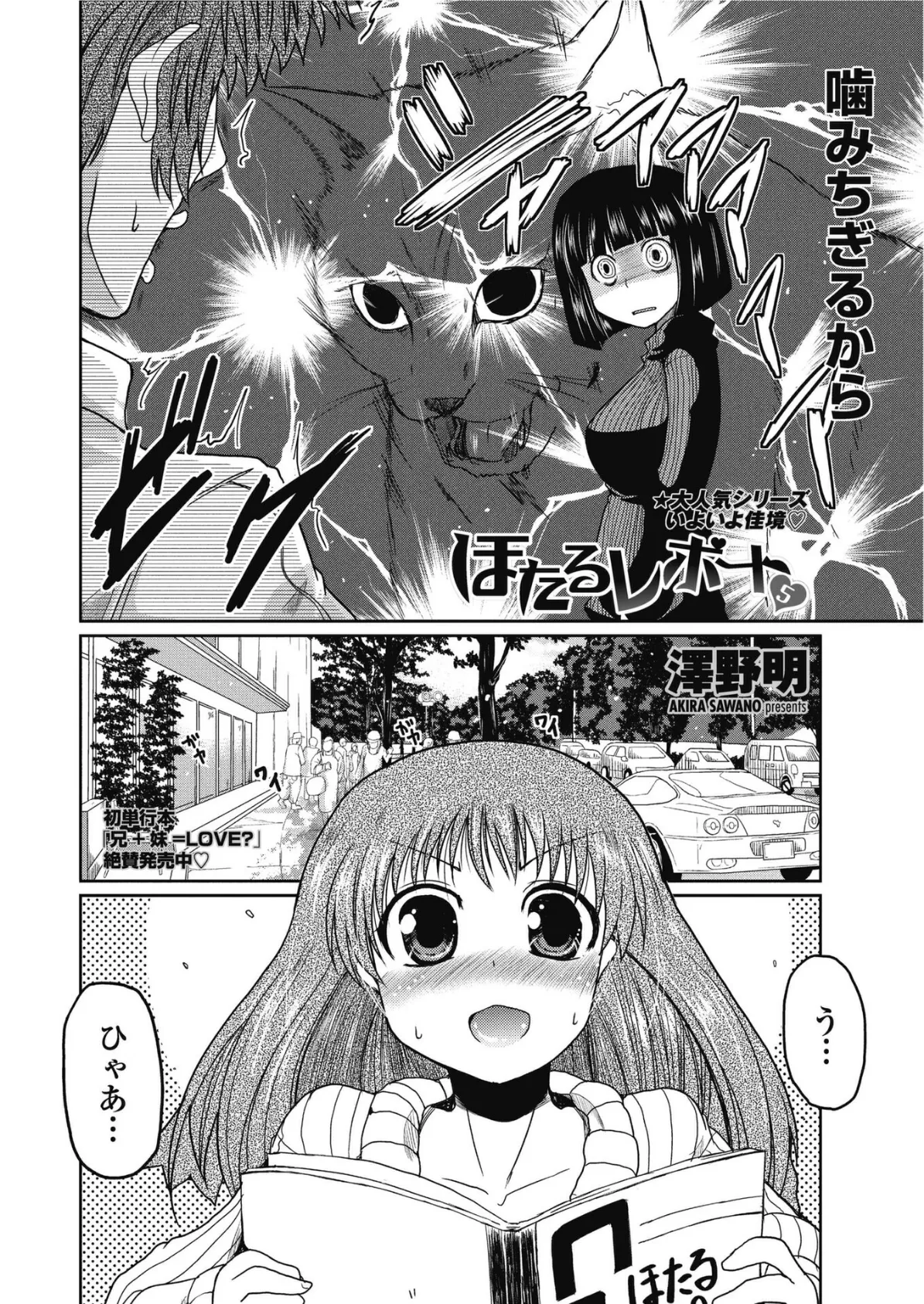 ほたるレポート 5 2ページ