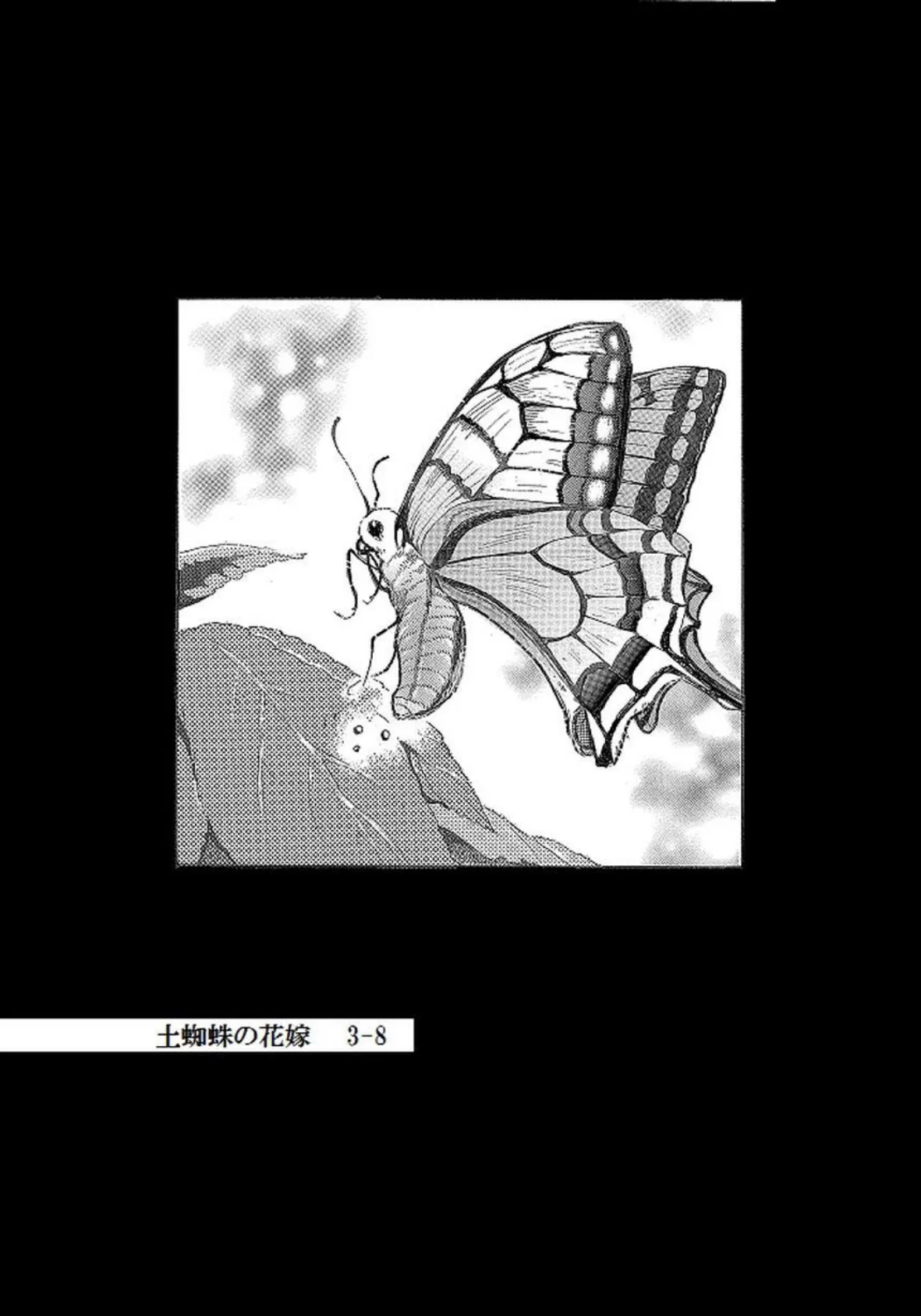 土蜘蛛の花嫁 第三章 3-8 2ページ